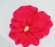 Pansy - Pink - 1 1/2&quot;