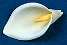 Calla Lily - Large - 2.5&quot;