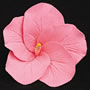 Hibiscus - Pink - 2.5&quot;