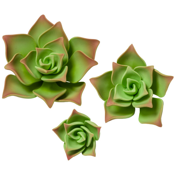 Succulents - Large Green - 3.5&quot;