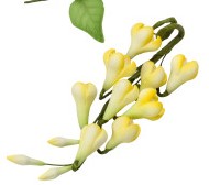 Petite Garden Assortment - Yellow Bell Flowers - 4.6&quot;