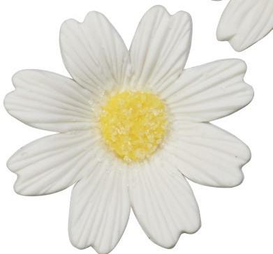 Daisy - Large White - 1.3&quot;