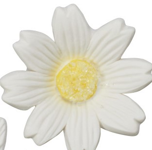 Daisy - Small White - 1.15&quot;