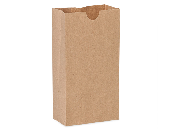 Large Kraft Paper Bag - 8LB