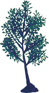 Branch Tree with Stand