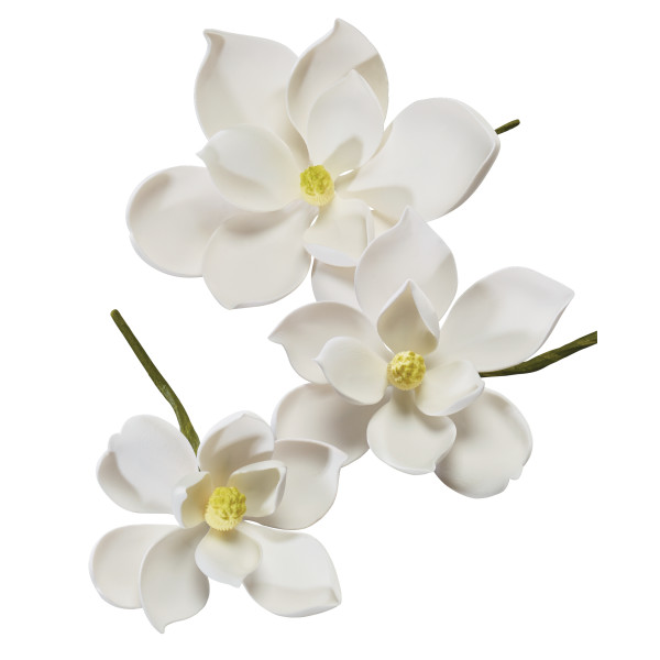 Magnolia - Small - 2.5&quot;