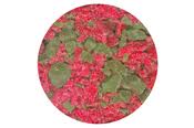 Red and Green Peppermint Candy Crunch - 4 oz