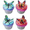 Dragon Fly and Butterfly Cupcake Pic