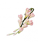 Petite Garden Assortment - Pink Bell Flowers - 4.6"