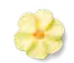 Royal Icing Drop Flowers - Medium - Yellow