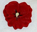 Pansy - Red - 1 1/2"