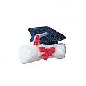 Graduation Cap and Scroll Charms Sugar Decorations