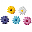Daisies Assorted Colors Sugar Decorations - 3/4"