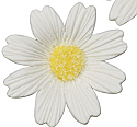 Daisy - Large White - 1.3"