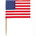 USA Flag Pic