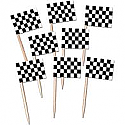 Race Car Checkered Flag Pic