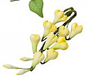 Petite Garden Assortment - Yellow Bell Flowers - 4.6"